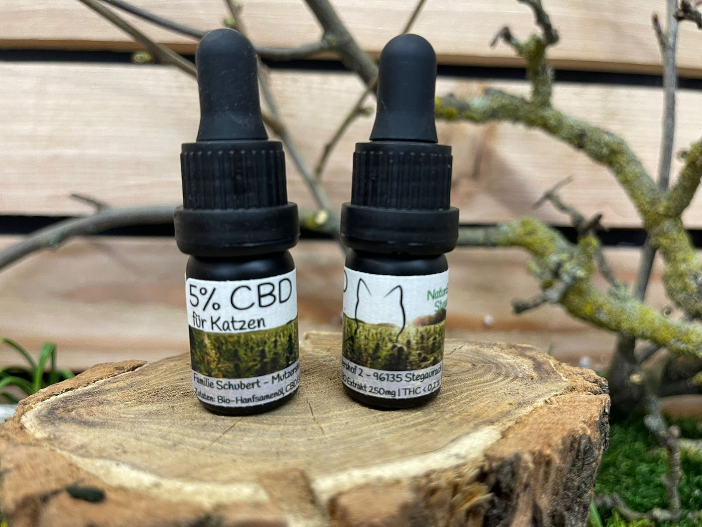 CBD Öl für Katzen